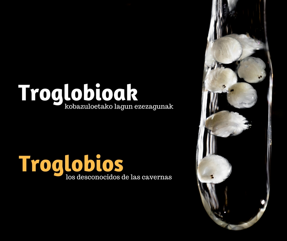 troglobioak